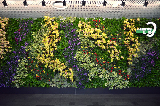 서울시민청 만남의 정원에 조성된 친환경 플라워 아트월 전경. <한화솔루션 제공>